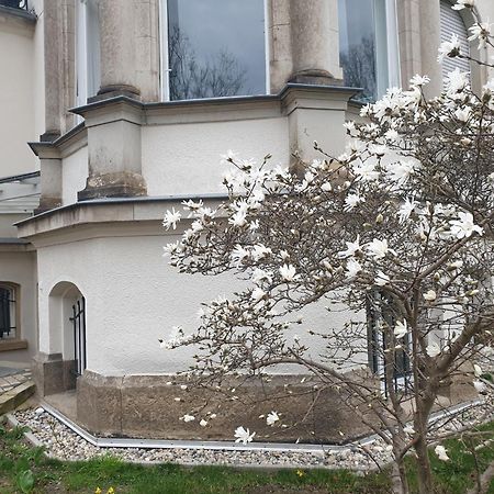 Wiener Palais Am Grossen Garten, Arbeitsplatz, Familie, 7 Pers, Smart-Tv Dresden Exterior foto